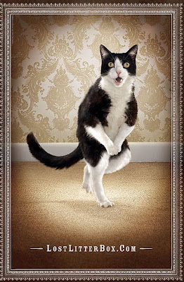 Gotta+Go+Pee+Cat.jpg