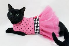 8b46788fce1a70ca03e4ae8cd3d1a1d8.jpg
