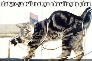 funny-pictures-cat-had-a-yo-yo-accident-300x199.jpg