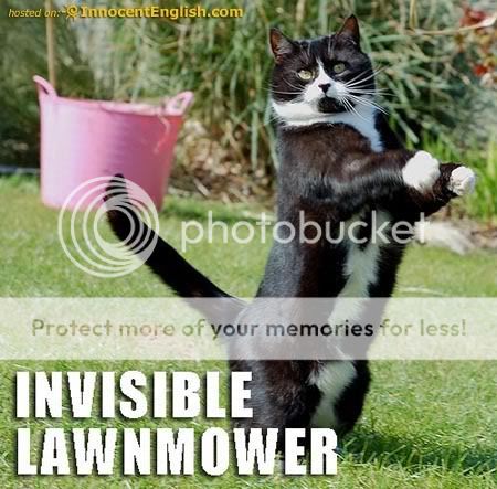 funny-kitty-invisible-lawnmower.jpg
