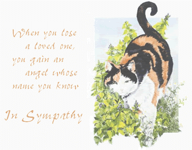 sympathy-49-1.gif