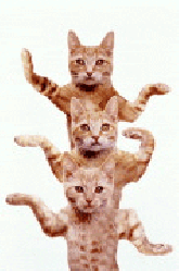 CatEgyptianWalks.gif
