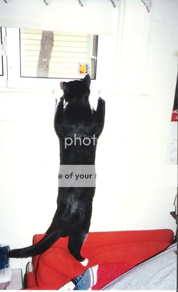 05.jpg