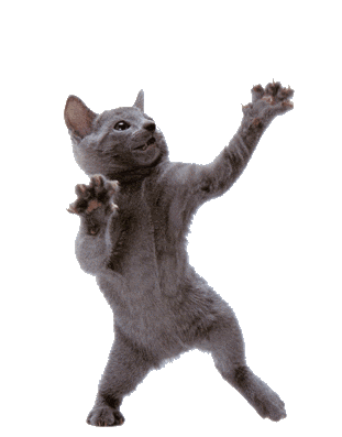 1e6d843c05a240181daa8468a0aa25c6.gif