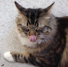 aE7ui0CmLhXD7nlq3kTIMGbo5JwUQvtwYWLivbN8Cv0=w219-h218-p-no