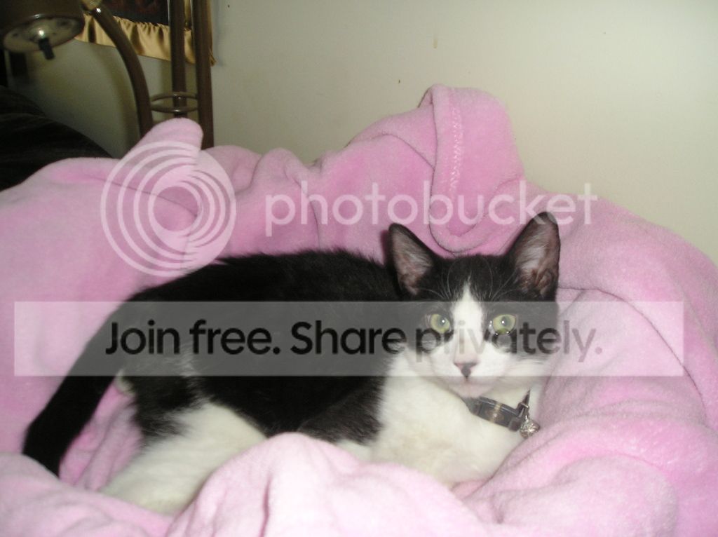 Baby_zpsatfpz0f2.jpg