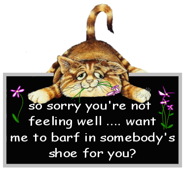 GetWellCat.gif
