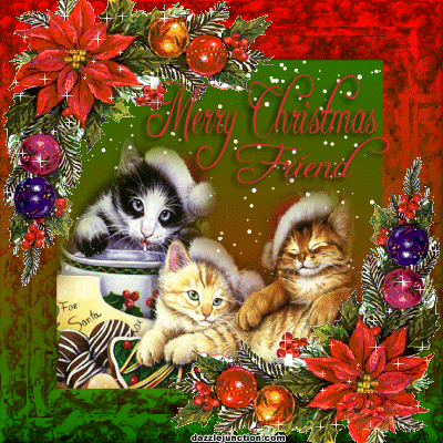 three-chirstmas-cats.gif