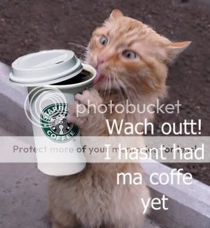 coffee_cat.jpg