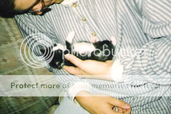 01.jpg