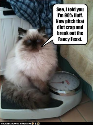 fluffy-not-fat.jpg