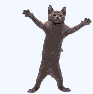 cat-dance-4.GIF