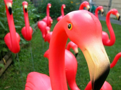 plastic-pink-flamingo-400x300-1.jpg