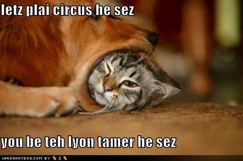 funny-dog-pictures-dog-and-cat-play-circus.jpg