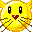 Cat.gif