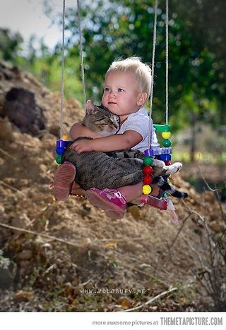 1407943FDA562E5004BB49