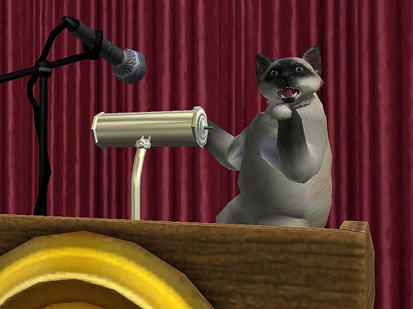MTS2_funcion_1152704_Cat_speech.jpg
