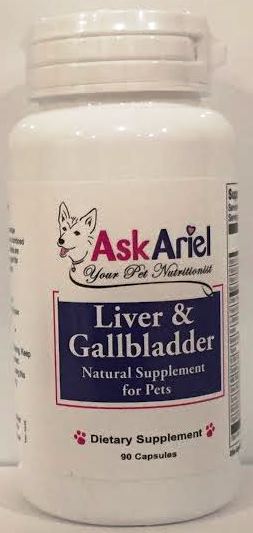 liver%20and%20gallbladder.jpg