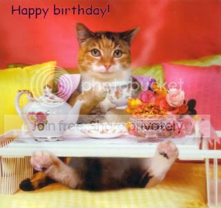 funny-cat-bday2.jpg
