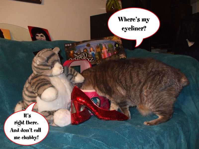 wheresmyeyeliner.jpg