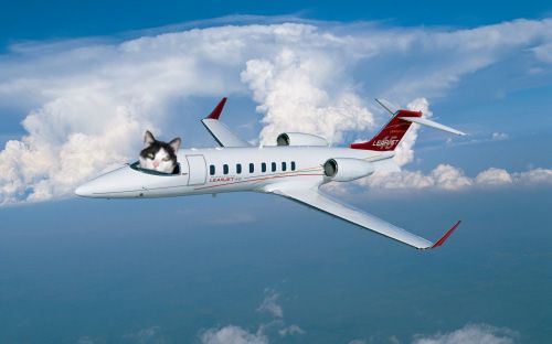 PedroinLearjet.jpg