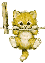 graphics-cats-037765.gif