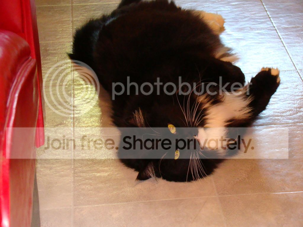 camera%20drive%20398_zps9zg3n83t.jpg