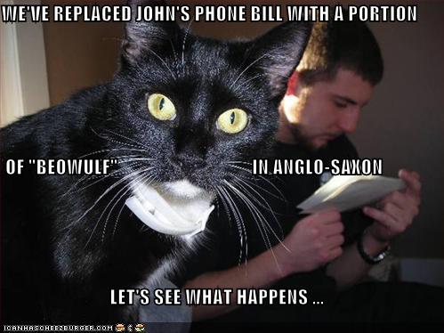 funny-pictures-beowulf-bill-cat.jpg