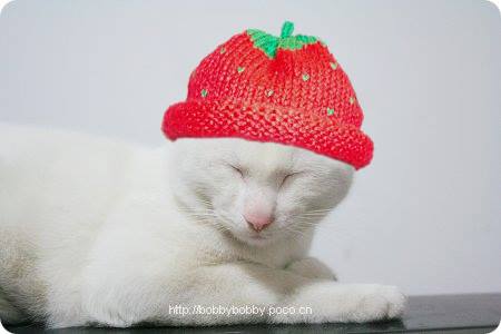 china-strawberry-hat-jpg.15157