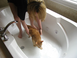 bath2.jpg