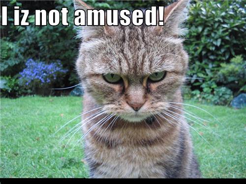 LOL_Cat___I_Iz_Not_Amused_by_Lycan_wolf96.jpg