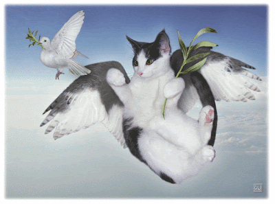angelcat.gif
