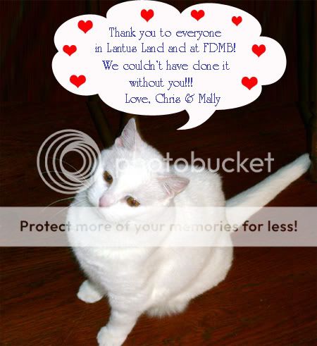ThankYou.jpg