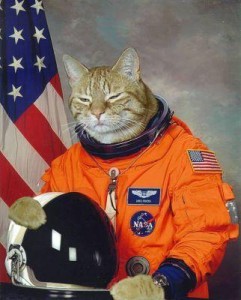 cat-in-a-space-suit-241x300.jpg
