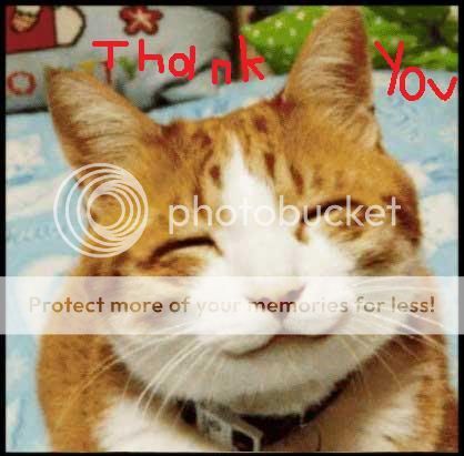Thank-you-cat-17842704083.jpg