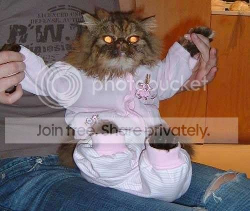 catpjs.jpg