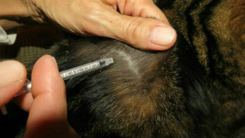 3d690be9-80e2-48ad-b4a5-3c77cdb55350-jpeg.48122