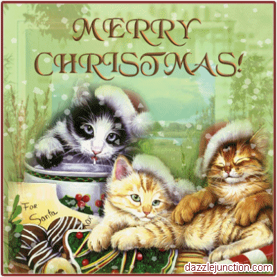 3-christmas-cats.gif