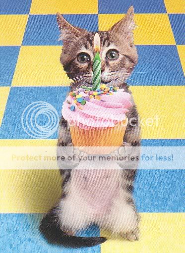 Cupcake.jpg