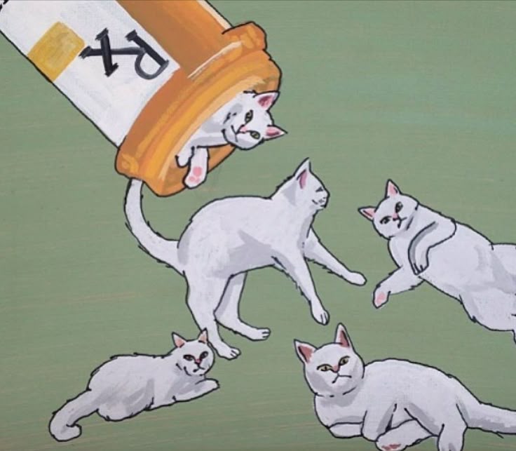 1c7c3f861abb91bd83f4d9cf44f1d0b9--happy-pills-the-doctor.jpg