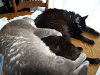 100_1248.JPG