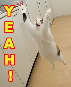 Cat-yeah.jpg