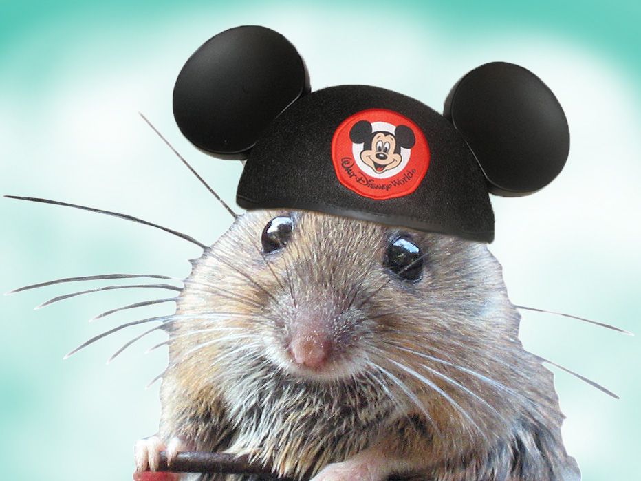 mousewithmickeyears.jpg