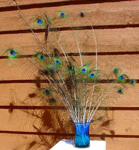 peacock-feather-bouquet-001.jpg