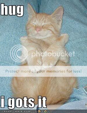 funny-pictures-cat-hugs-itself2.jpg