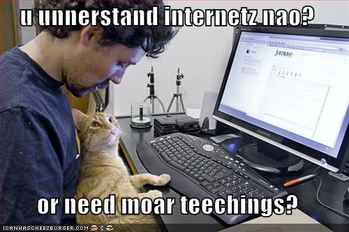 funny-pictures-cat-teaches-you-the-internet.jpg