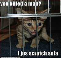 cat+jail.bmp