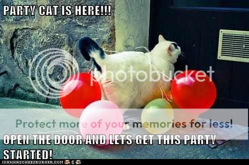partycat.jpg