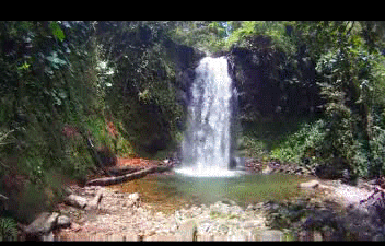 waterfall-animation.gif