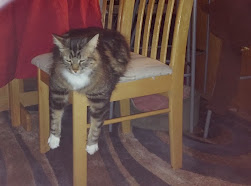 vblAW_GWyJ1DKb6z0GfIt9aQZCvnBsZyu8n6vOuJudM=w251-h186-p-no